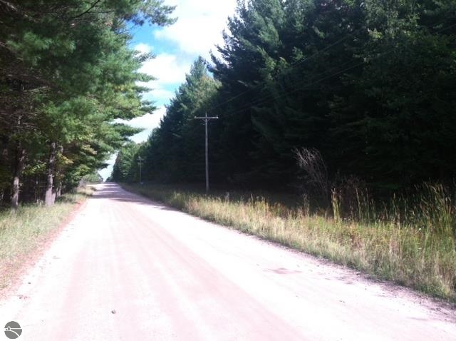 7100 West Vernon Road Weidman, MI 48893 - Photo 3 of 8 1790801-2.JPG