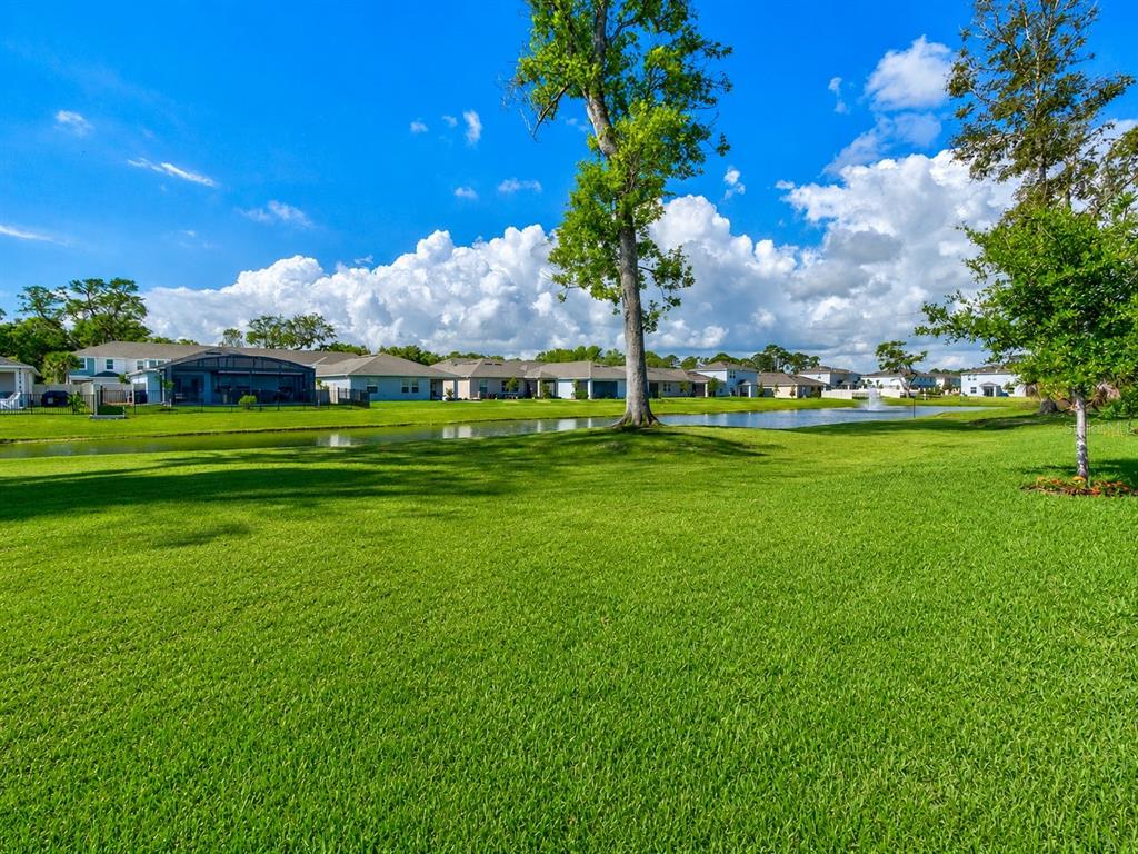 176 Jones Fish Camp Road Edgewater, FL 32141 - Photo 22 of 30 a view of a golf course with a lake view