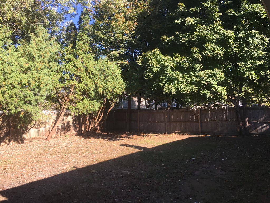 377 Stapleton Road Springfield, MA 01109 - Photo 17 of 17 a view of a tree next to a yard