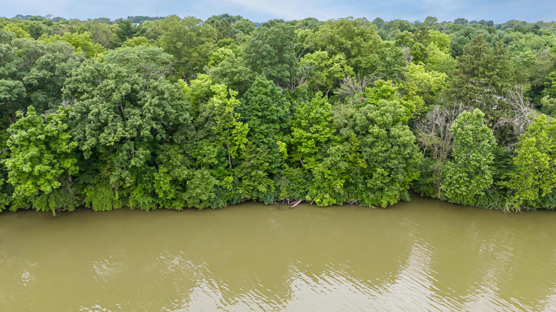 5985 Dublin Road Delaware, OH 43015 - Photo 48 of 49 Scioto River