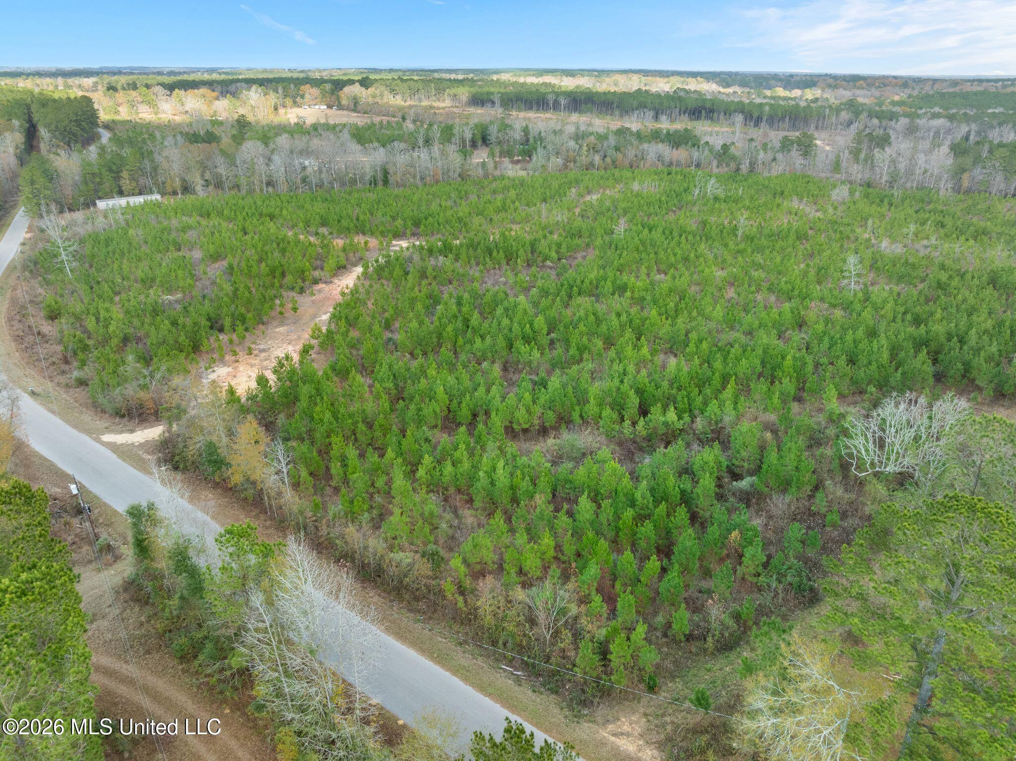 83.50-acre 83.50-acre Carter Guthrie Road Moselle, MS 39459 - Photo 1 of 17 17_00_Guthrie_Carter_Rd-18