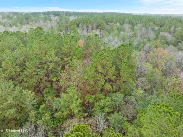 $392,450 | 83.50-acre 83.50-acre Carter Guthrie Road, Moselle, MS 39459