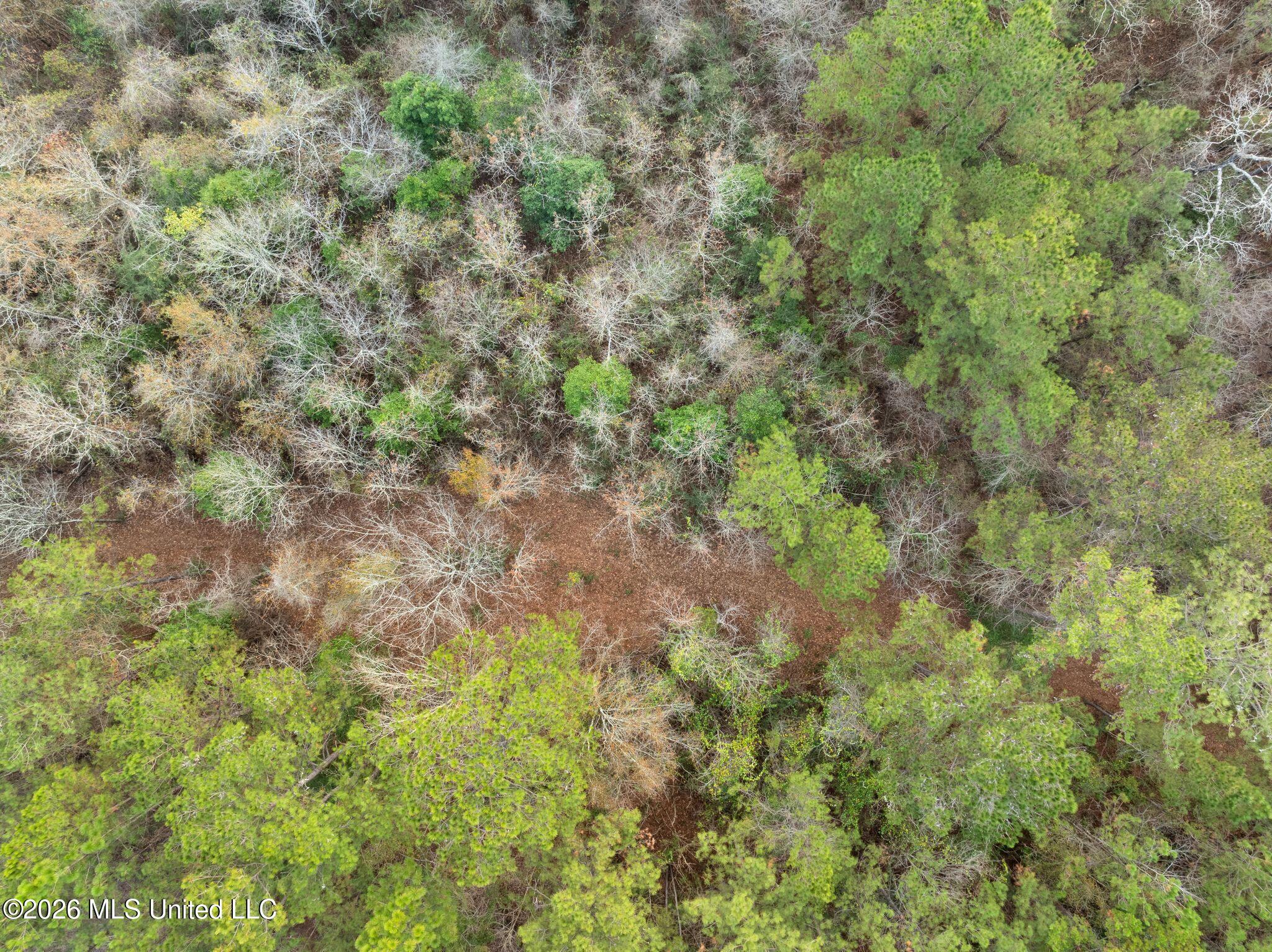 83.50-acre 83.50-acre Carter Guthrie Road Moselle, MS 39459 - Photo 11 of 17 24_00_Guthrie_Carter_Rd-25