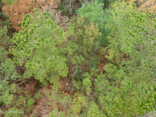 $392,450 | 83.50-acre 83.50-acre Carter Guthrie Road, Moselle, MS 39459