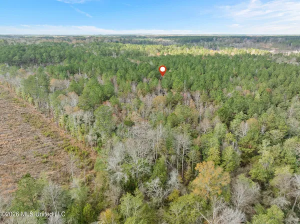 $392,450 | 83.50-acre 83.50-acre Carter Guthrie Road, Moselle, MS 39459