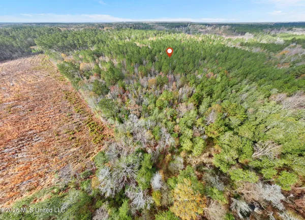 $392,450 | 83.50-acre 83.50-acre Carter Guthrie Road, Moselle, MS 39459