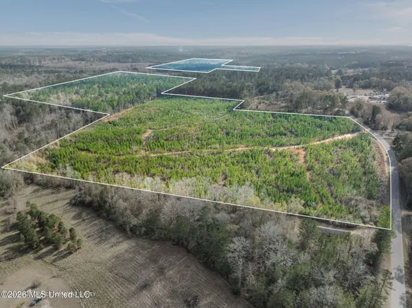 $392,450 | 83.50-acre 83.50-acre Carter Guthrie Road, Moselle, MS 39459