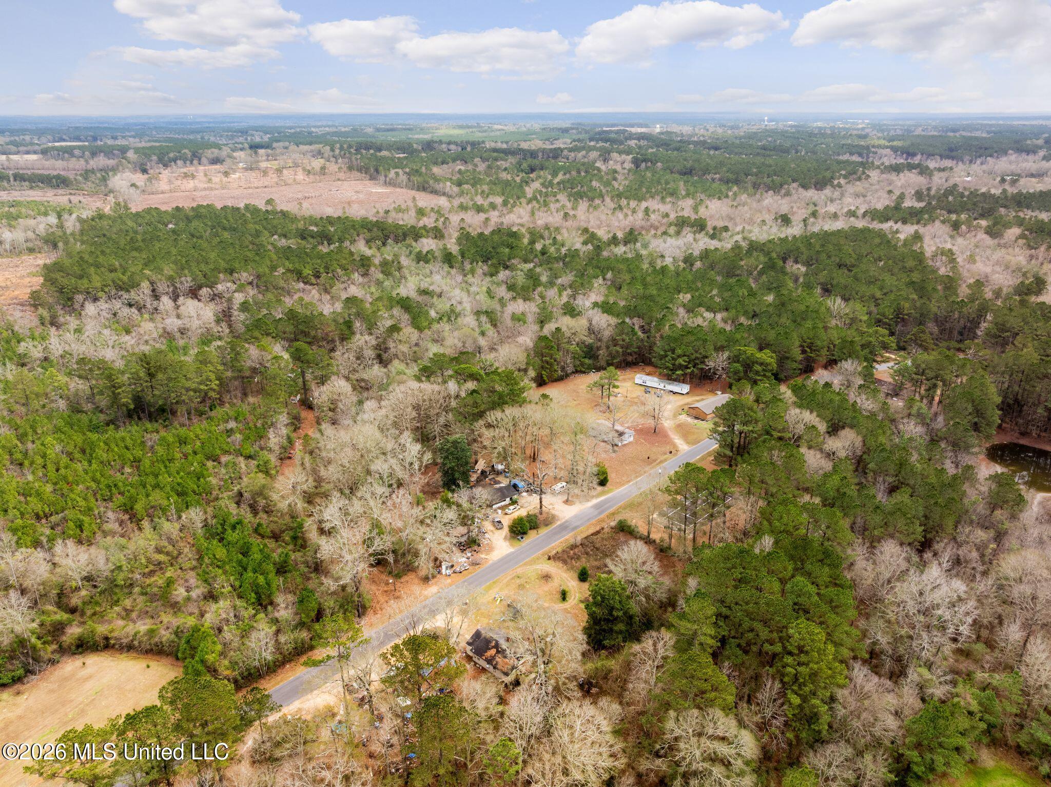 83.50-acre 83.50-acre Carter Guthrie Road Moselle, MS 39459 - Photo 16 of 17 31_220_Guthrie_Carter_Rd-31