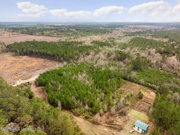 $392,450 | 83.50-acre 83.50-acre Carter Guthrie Road, Moselle, MS 39459