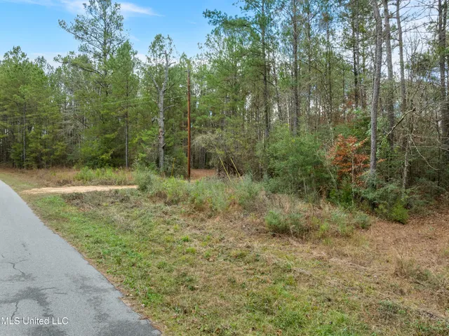$392,450 | 83.50-acre 83.50-acre Carter Guthrie Road, Moselle, MS 39459