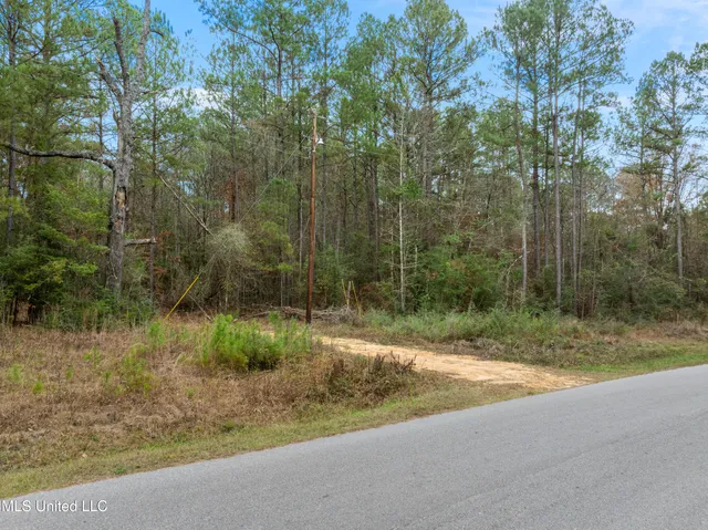 $392,450 | 83.50-acre 83.50-acre Carter Guthrie Road, Moselle, MS 39459