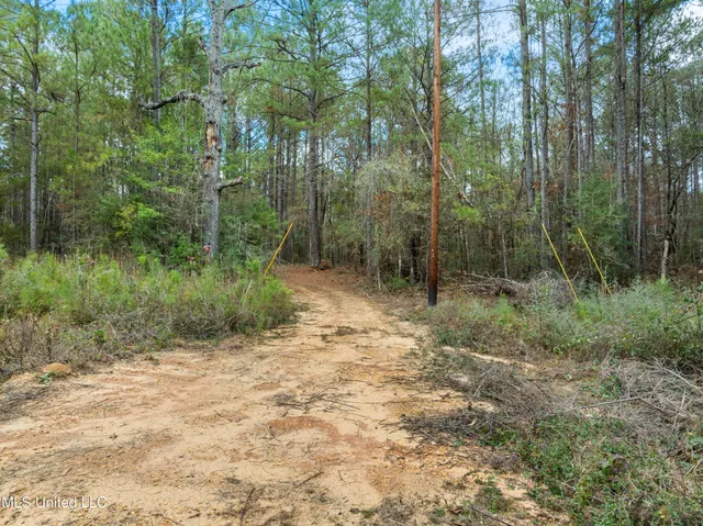 $392,450 | 83.50-acre 83.50-acre Carter Guthrie Road, Moselle, MS 39459