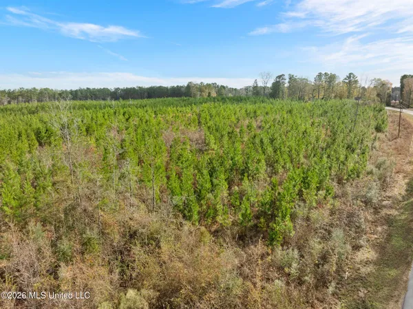 $392,450 | 83.50-acre 83.50-acre Carter Guthrie Road, Moselle, MS 39459