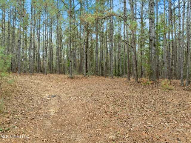 $392,450 | 83.50-acre 83.50-acre Carter Guthrie Road, Moselle, MS 39459