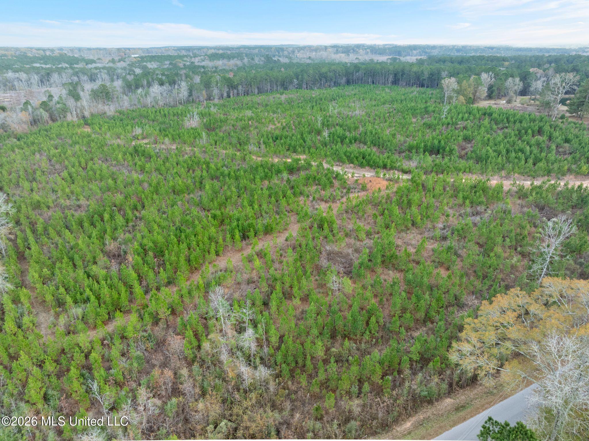 83.50-acre 83.50-acre Carter Guthrie Road Moselle, MS 39459 - Photo 5 of 17 18_00_Guthrie_Carter_Rd-19
