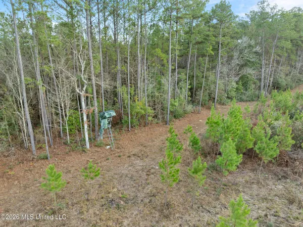 $392,450 | 83.50-acre 83.50-acre Carter Guthrie Road, Moselle, MS 39459