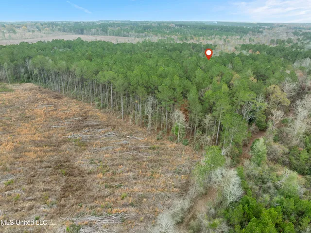 $392,450 | 83.50-acre 83.50-acre Carter Guthrie Road, Moselle, MS 39459