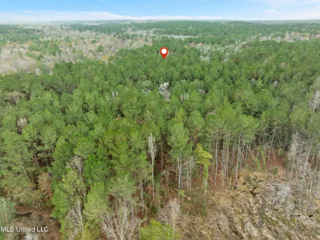 $392,450 | 83.50-acre 83.50-acre Carter Guthrie Road, Moselle, MS 39459