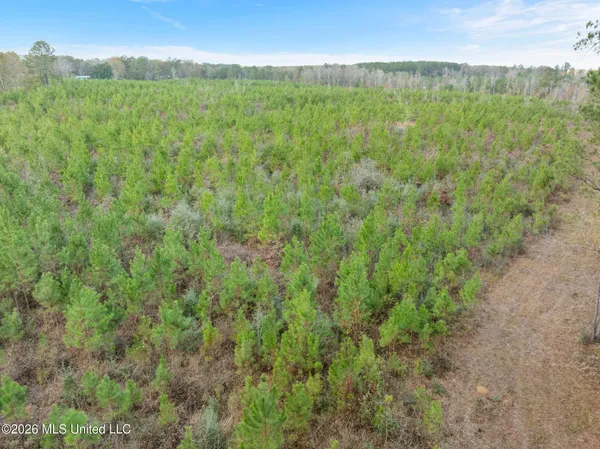 $392,450 | 83.50-acre 83.50-acre Carter Guthrie Road, Moselle, MS 39459