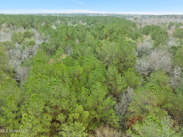 $392,450 | 83.50-acre 83.50-acre Carter Guthrie Road, Moselle, MS 39459