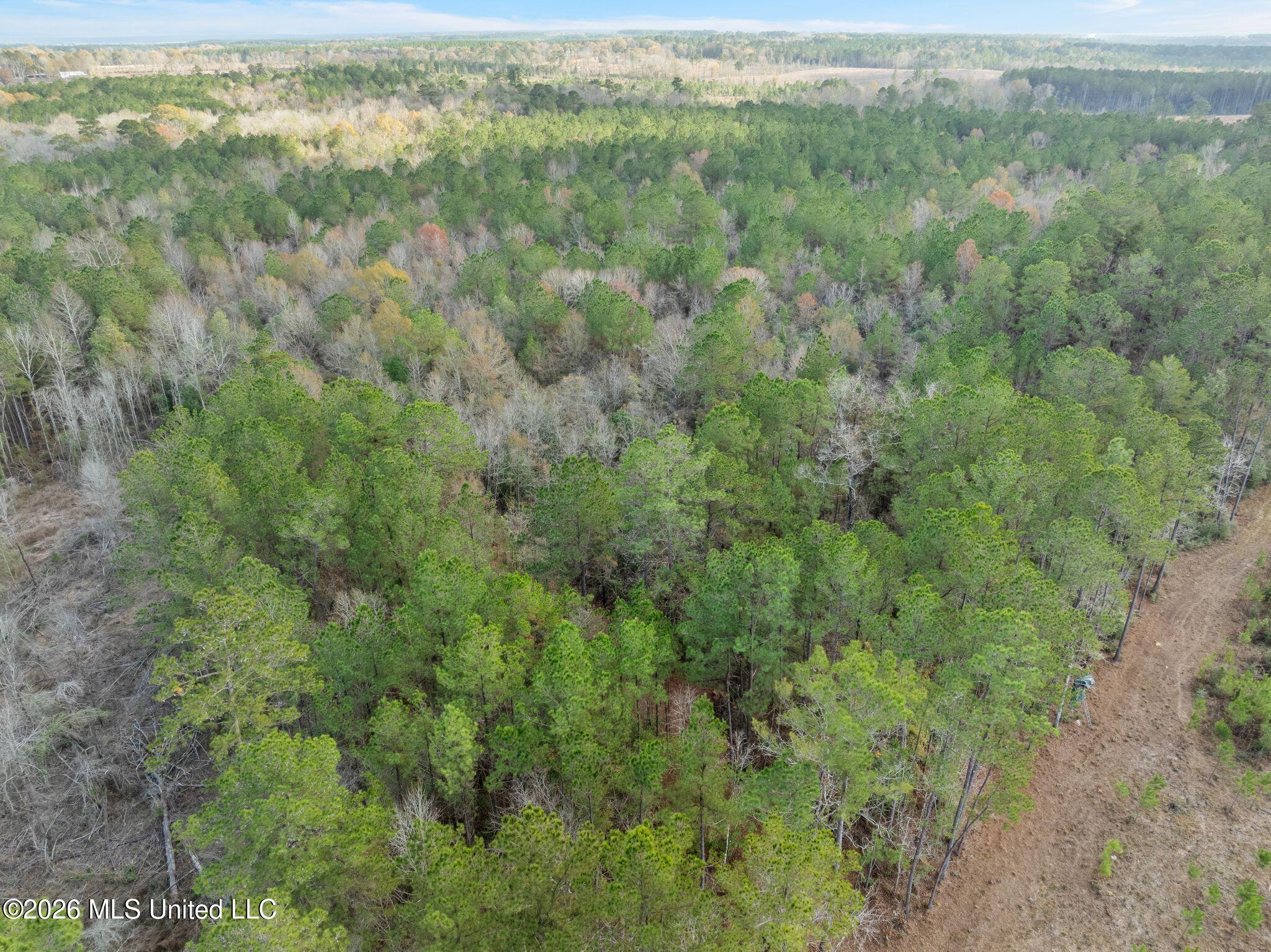 83.50-acre 83.50-acre Carter Guthrie Road Moselle, MS 39459 - Photo 10 of 17 23_00_Guthrie_Carter_Rd-24
