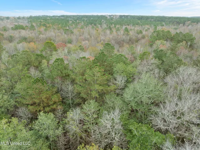 $392,450 | 83.50-acre 83.50-acre Carter Guthrie Road, Moselle, MS 39459