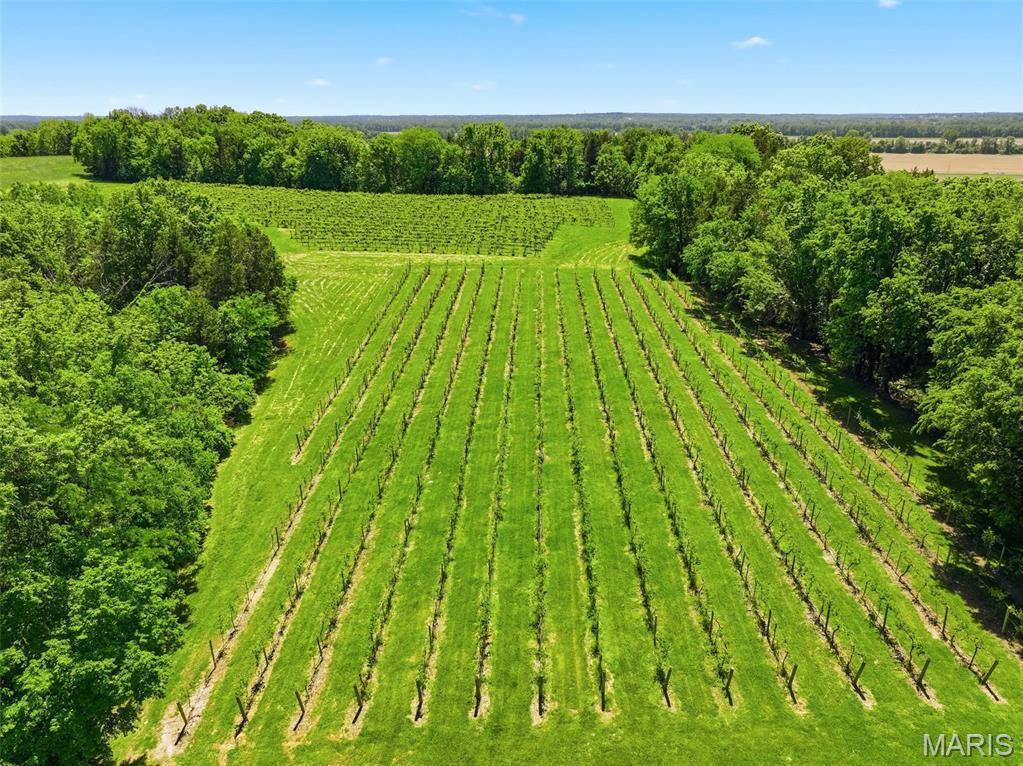 15088 Boone Monument Road Marthasville, MO 63357 - Photo 57 of 81