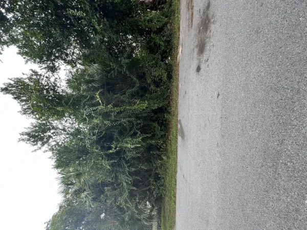 $298,000 | 228 Magnolia Drive, Panama City Beach, FL 32413