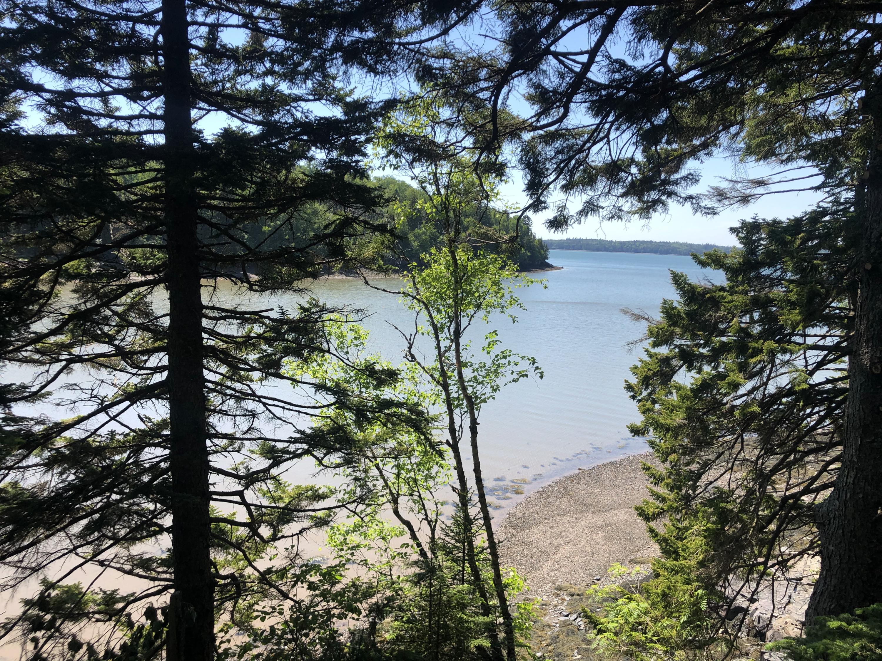 18 Collins Cove Road Machiasport, ME 04655 - Photo 1 of 8 Lot 18 View