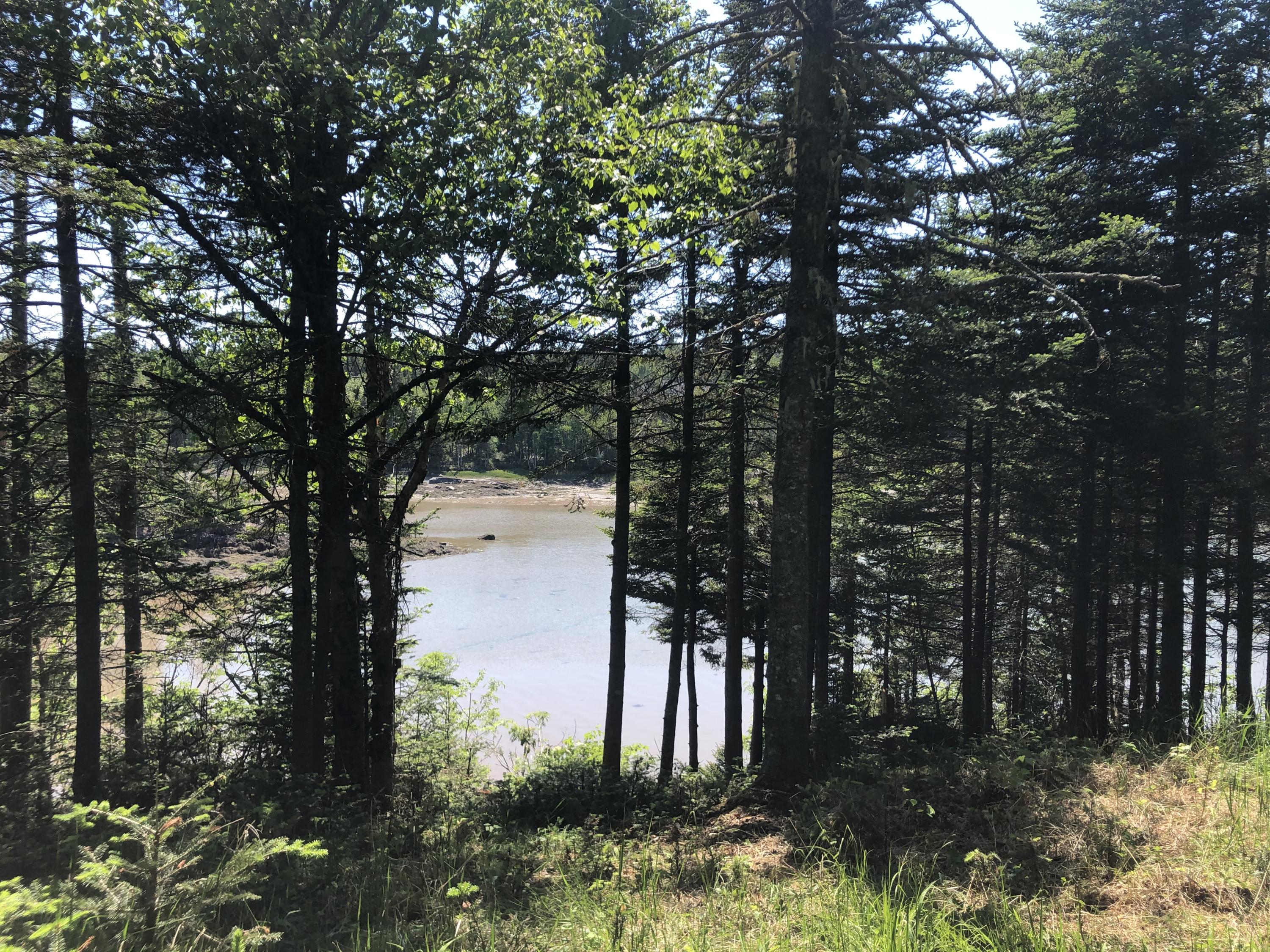 18 Collins Cove Road Machiasport, ME 04655 - Photo 3 of 8 Lot 18