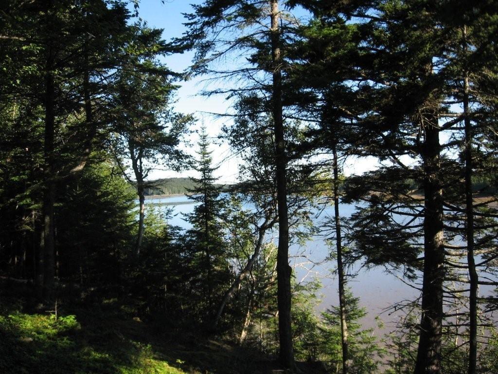 18 Collins Cove Road Machiasport, ME 04655 - Photo 5 of 8 Photo
