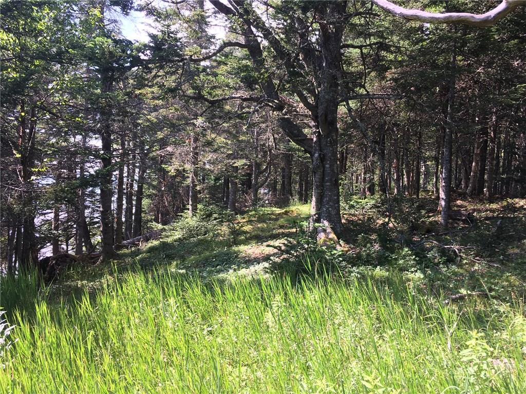 18 Collins Cove Road Machiasport, ME 04655 - Photo 6 of 8 Photo