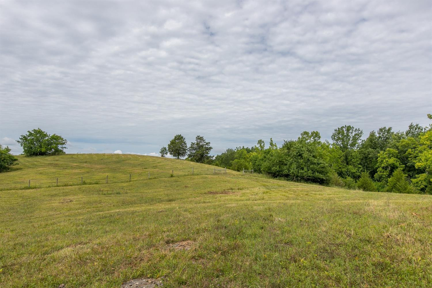 1739 Graves Road Stamping Ground, KY 40379 - Photo 13 of 28 Photo 13