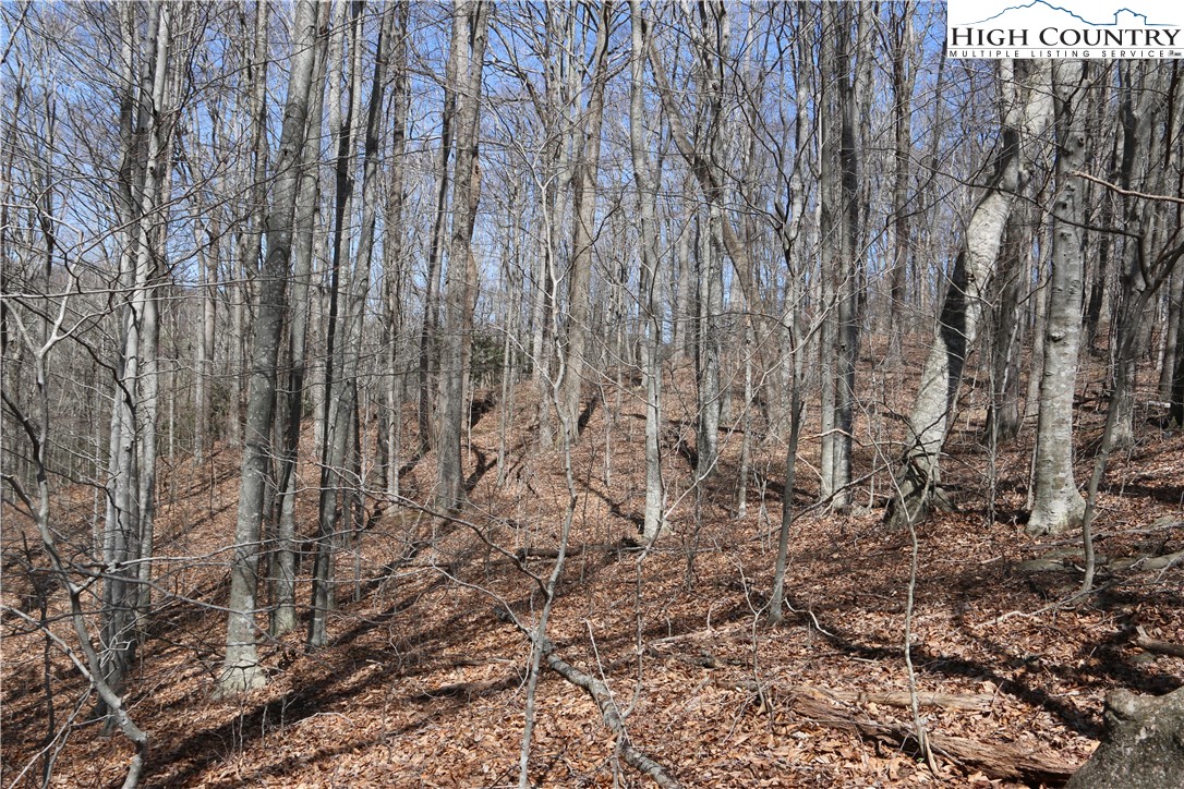Ed Little Road Warrensville, NC 28693 - Photo 6 of 20 Gallery Image 6