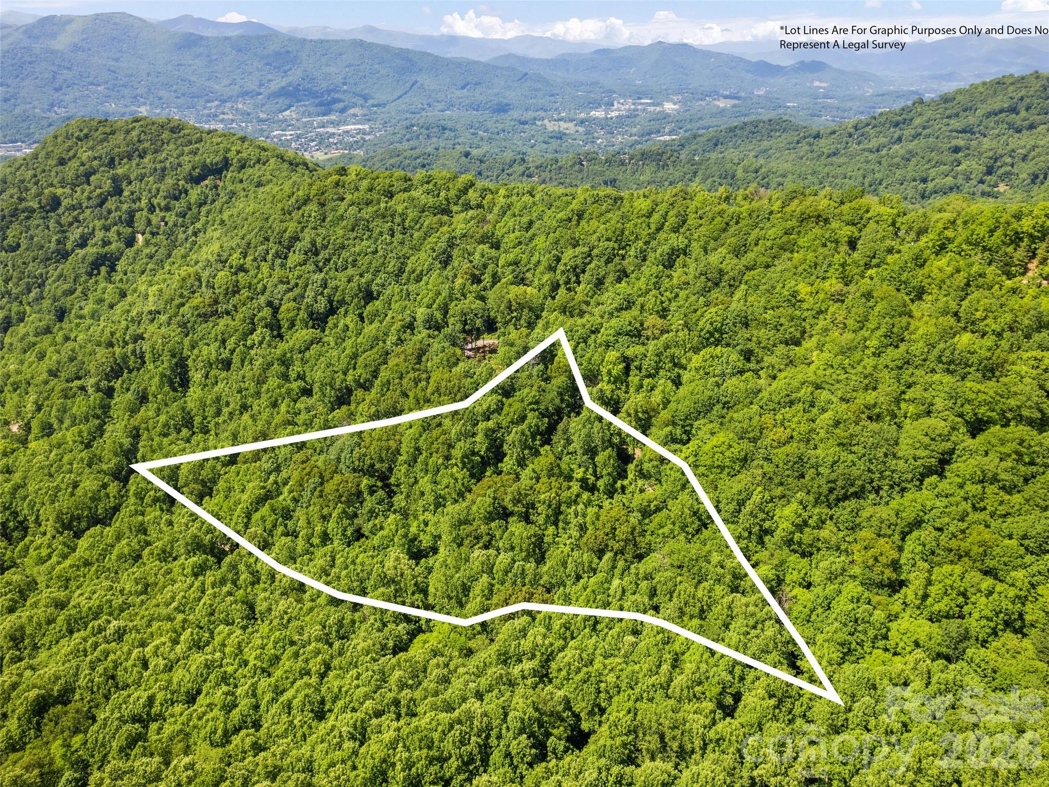 0 Rustic Road Waynesville, NC 28786 - Photo 5 of 11