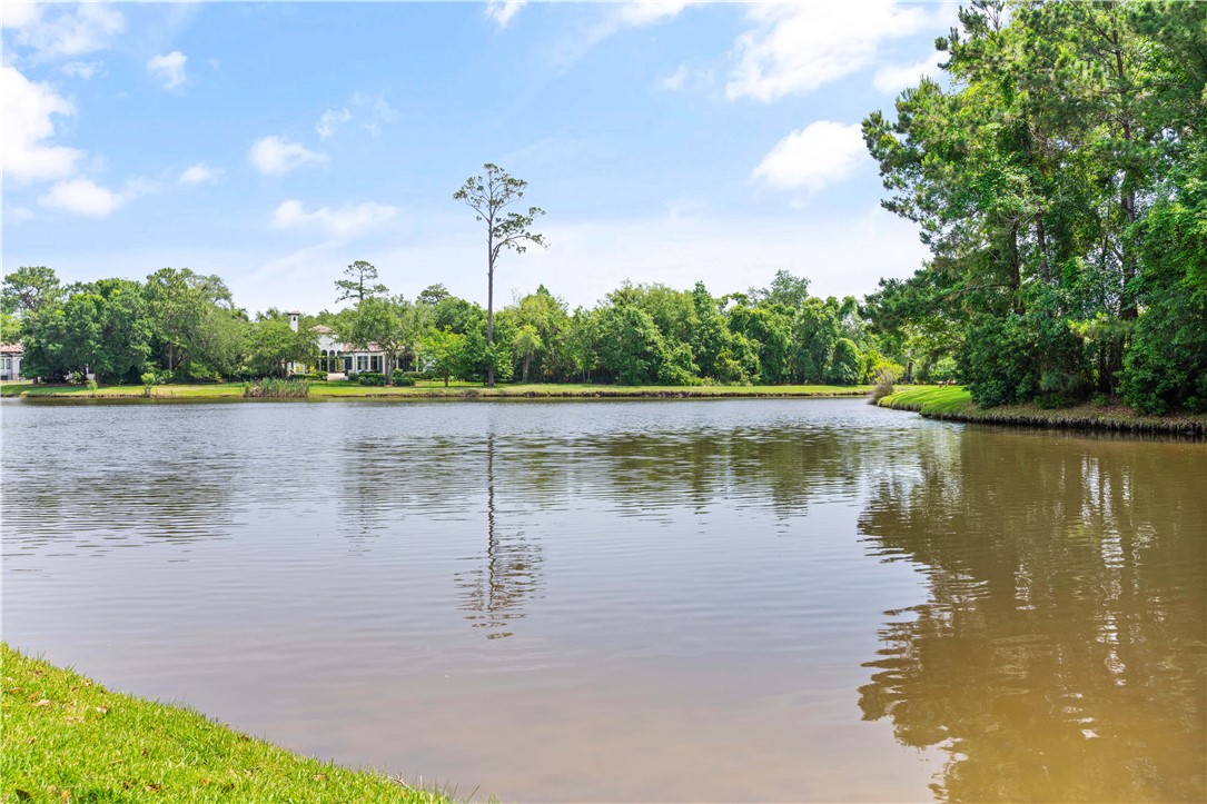139 Point Lane St. Simons Island, GA 31522 - Photo 48 of 55