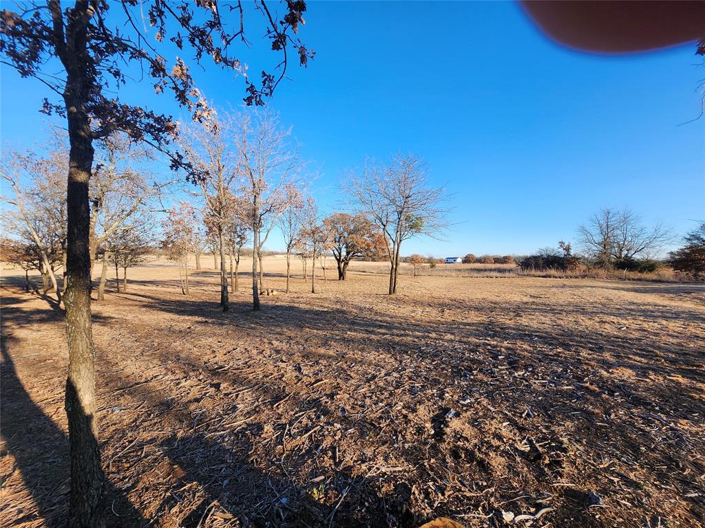 10 Ridglea Court Nocona, TX 76255 - Photo 14 of 39 a view of dirt yard with a large tree