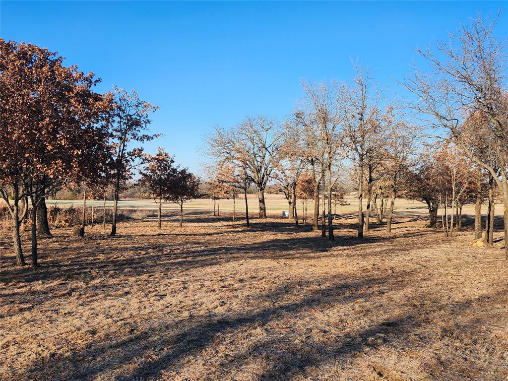 10 Ridglea Court Nocona, TX 76255 - Photo 4 of 39 a view of a yard with trees