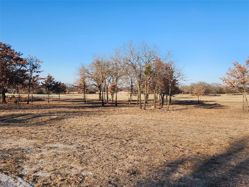 10 Ridglea Court Nocona, TX 76255 - Photo 5 of 39 a view of dirt field with trees
