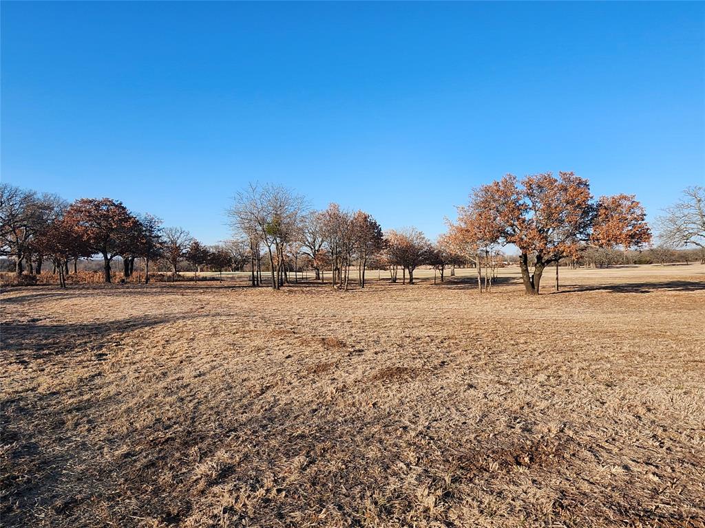 10 Ridglea Court Nocona, TX 76255 - Photo 6 of 39 a view of dirt field with trees in background
