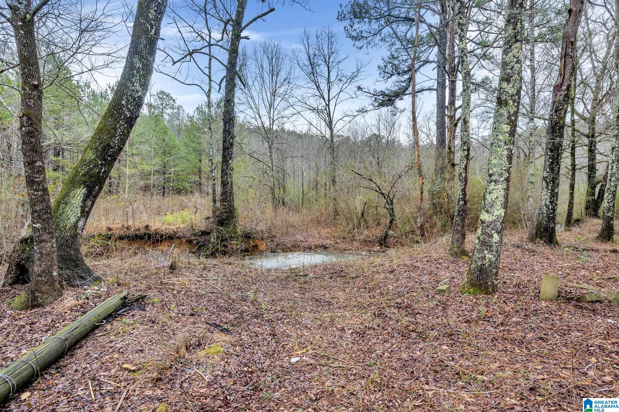2810 Warrior Jasper Road Warrior, AL 35180 - Photo 3 of 41