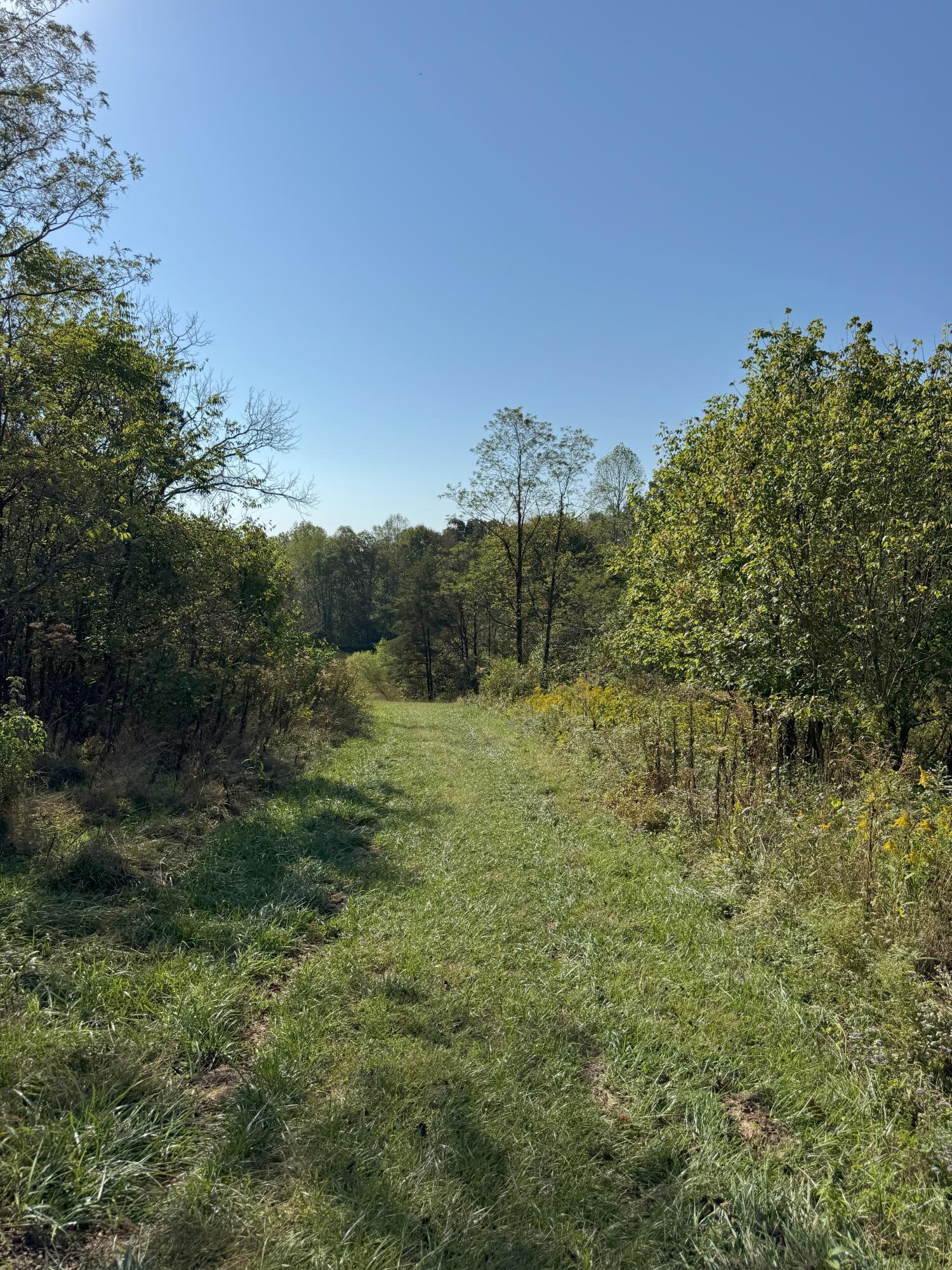 0 McKinney Road Piketon, OH 45661 - Photo 16 of 27 IMG_8908