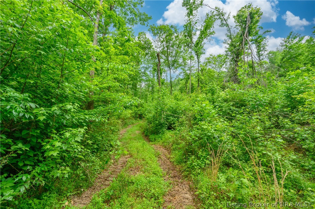 Tract 2 North Mount Road Scottsburg, IN 47170 - Photo 12 of 26 Gallery Image 12