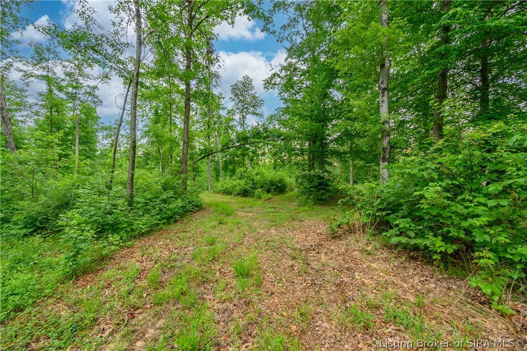 Tract 2 North Mount Road Scottsburg, IN 47170 - Photo 8 of 26 Gallery Image 8