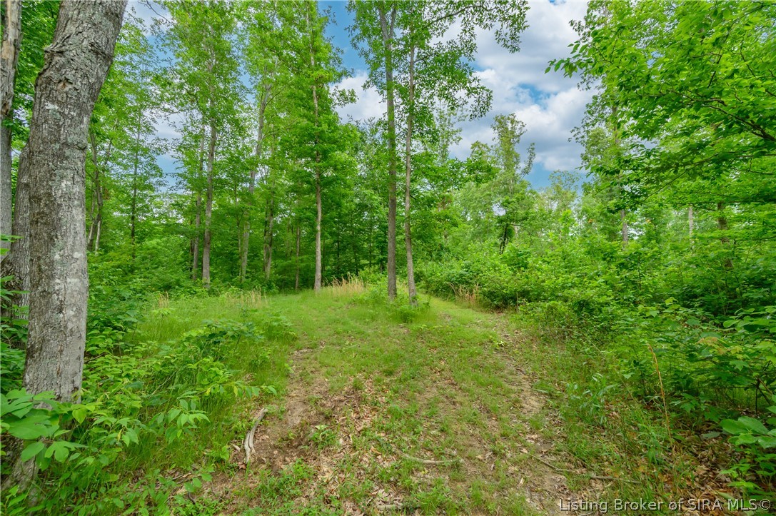 Tract 2 North Mount Road Scottsburg, IN 47170 - Photo 9 of 26 Gallery Image 9