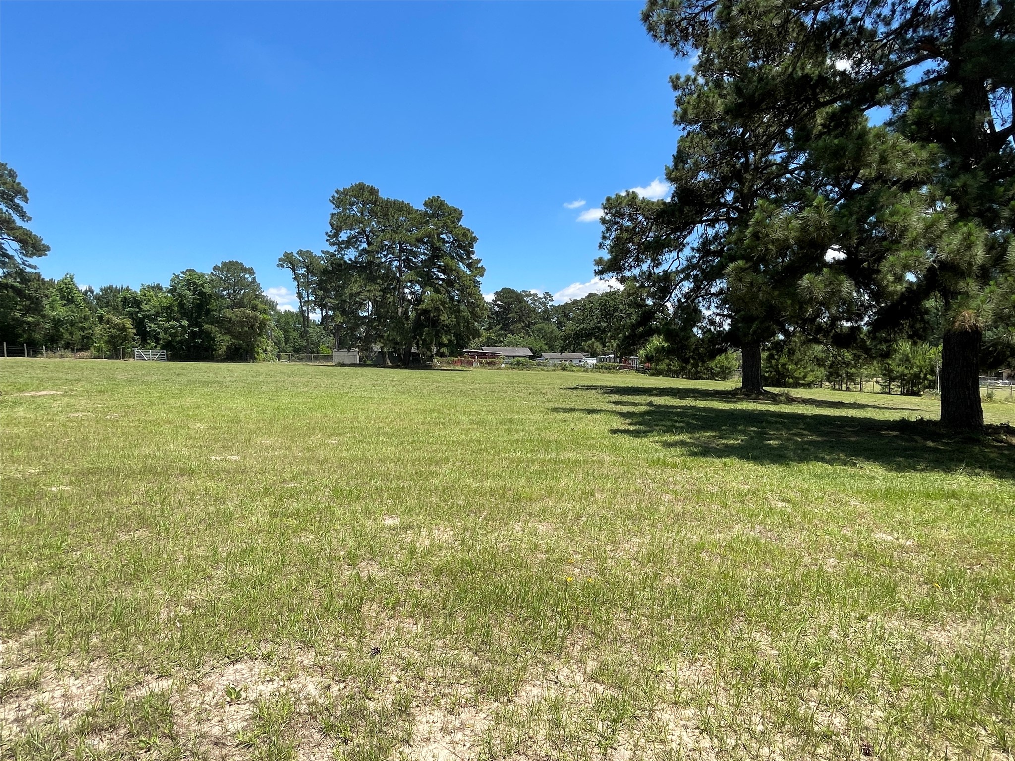 19439 Keenan Cut Off Road Montgomery, TX 77316 - Photo 25 of 39 Pasture