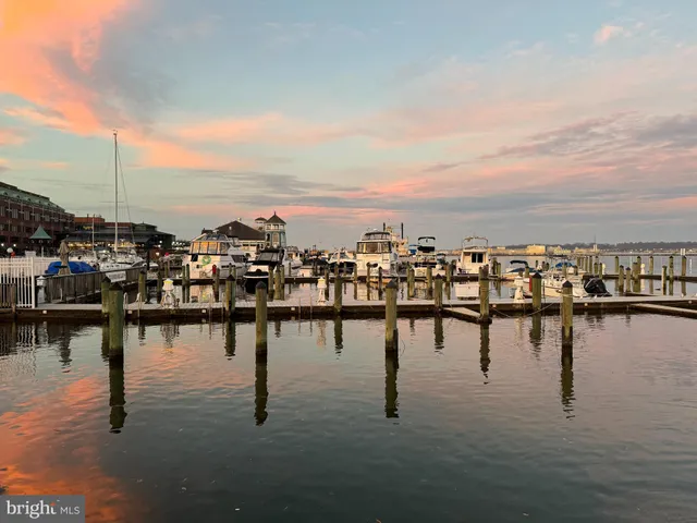 $3,700 | 1115 Cameron Street, Unit 114, Alexandria, VA 22314