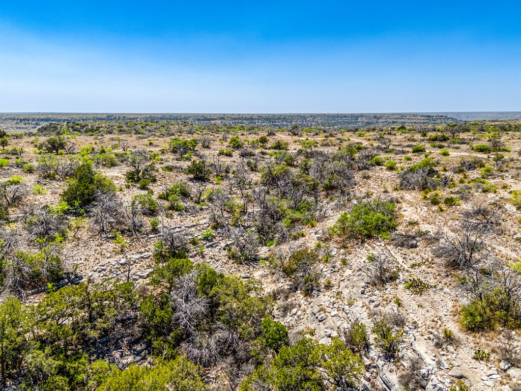 . Deer Run Road Ozona, TX 76943 - Photo 50 of 51 Photo 50