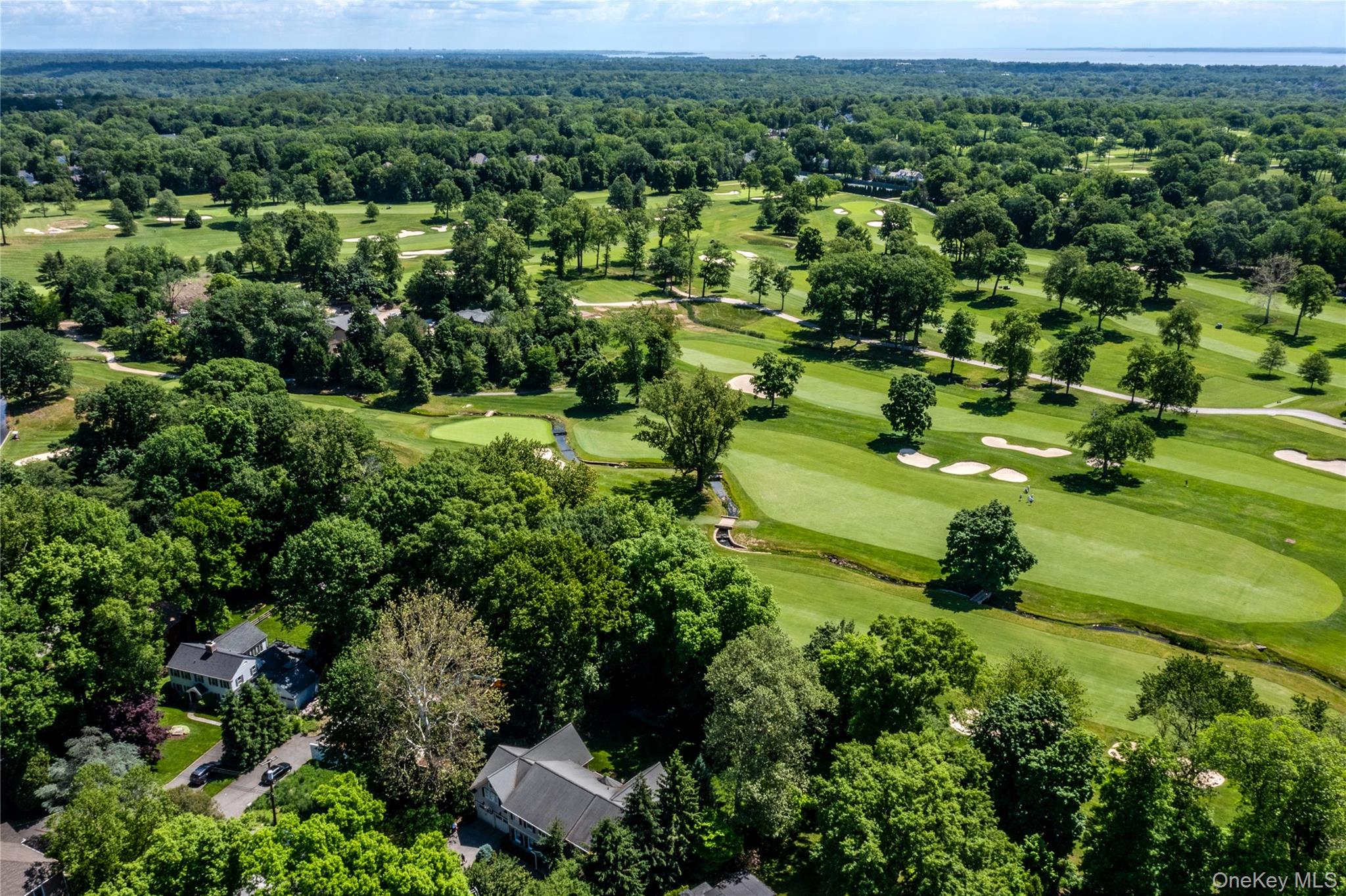 16 Meadow Road Scarsdale, NY 10583 - Photo 47 of 47 an aerial view of residential houses with outdoor space and trees