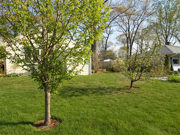 6 Fairfield Road Framingham, MA 01701 - Photo 17 of 20 Gallery Image 17